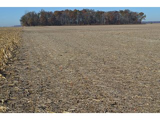 Tract 2 - FARMLAND AUCTION - 165.5+/- ACRES OFFERED IN 5 TRACTS OR COMBINATIONS IN EAST ALLEN COUNTY